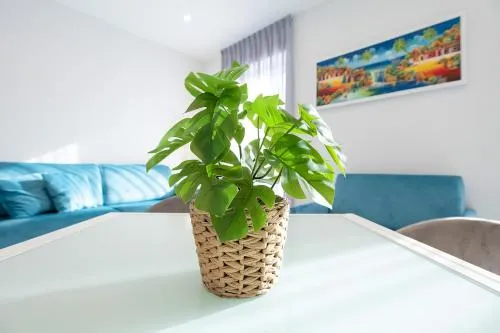 Tema Suites - Dimore Partenopee photo 16