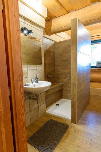 un baño con lavabo y ducha en SRUB KVETONOV, en Kaplice