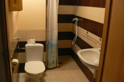 OgonkiにあるGrajanのバスルーム(トイレ、洗面台付)