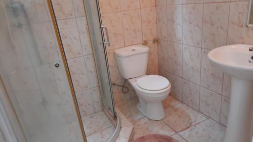 een badkamer met een toilet, een douche en een wastafel bij Sucasa apartement in Willemstad