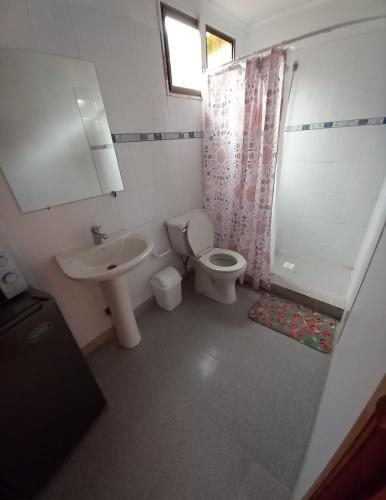 een badkamer met een toilet en een wastafel bij mini apartamento in Coquimbo