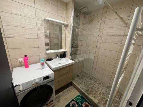 La salle de bains est pourvue d'un lavabo et d'un lave-linge. dans l'établissement 09 CHIC & COSY GRAND APPART 4 PIÈCES 75m2 HYPERCENTRE WIFI SMART TV NETFLIX, à Saint-Étienne