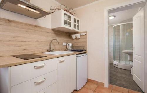 une cuisine avec des armoires blanches et un évier dans l'établissement Holiday house with a parking space Rakovica, Plitvice - 20811, à Rakovica