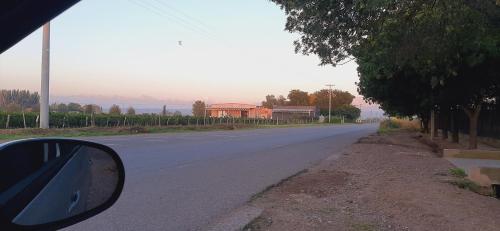 Sophenia – Photos 4