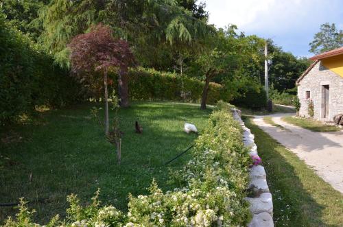 Campo della Corte – Photos 5
