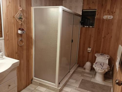 ein Badezimmer mit Dusche und Toilette in der Unterkunft Casa Cudico bajo- Lican ray in Villarrica