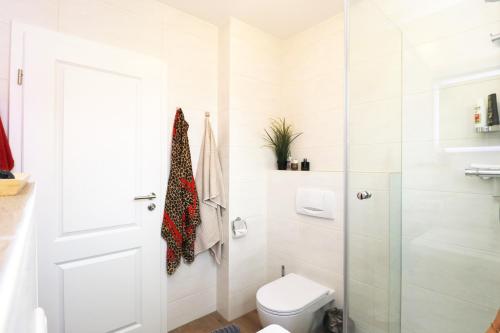 a bathroom with a toilet and a glass shower at Oewern Diek App 13 in Wustrow