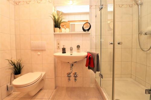 Un baño con inodoro, lavabo y ducha. en Birkenhof App 64, en Wustrow