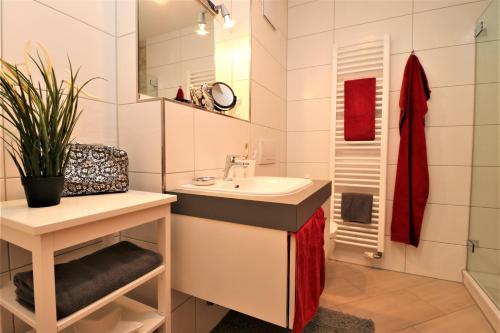 ein Badezimmer mit Waschbecken und Spiegel in der Unterkunft Birkenhof App 74 in Wustrow