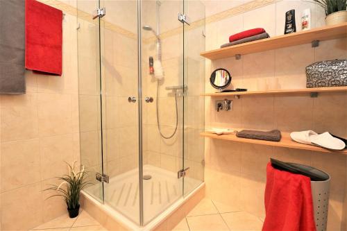 a shower with a glass door in a bathroom at Birkenhof App 77 in Wustrow