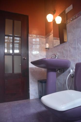 ヌワラエリヤにあるGregory's Bungalowのバスルーム(洗面台、トイレ、鏡付)