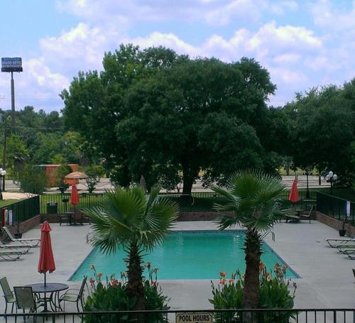 a swimming pool with two palm trees and tables and umbrellas at Motel 6 Hammond, LA – I 12 – I 55 in Hammond