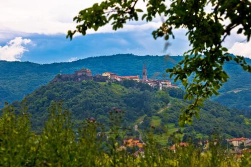 a castle on top of a hill with trees at Villa Lapis in Buzet
