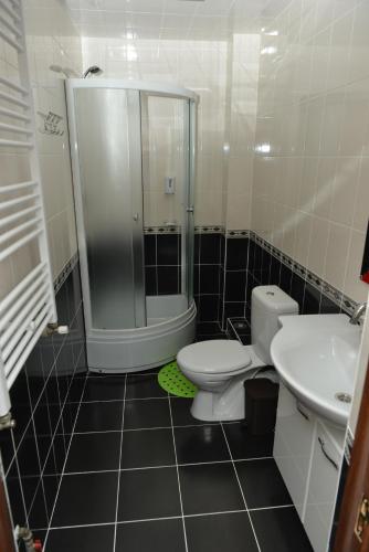 a bathroom with a shower and a toilet and a sink at Pensiunea Butoias Glodeni in Glodeni