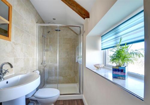 a bathroom with a shower and a toilet and a sink at Glanhafren in Southerndown