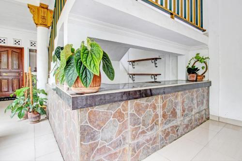 eine Küche mit einer Steintheke mit Topfpflanzen in der Unterkunft OYO 93253 Guest House Arundaya Syariah in Purwokerto