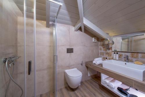 a bathroom with a shower and a toilet and a sink at Villa Niragia with Magnificent view in Astérion