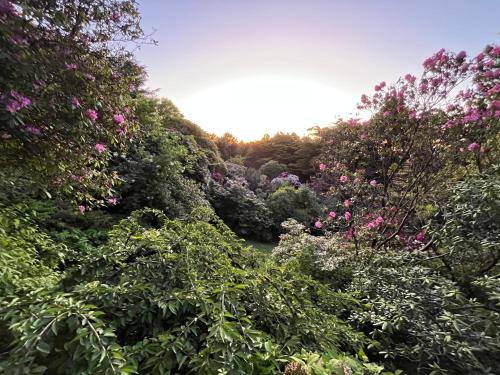 Woolrich Historic Garden Accommodation – Photos 5