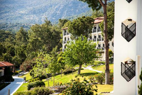 Pemandangan gunung umum atau pemandangan gunung yang diambil dari resort
