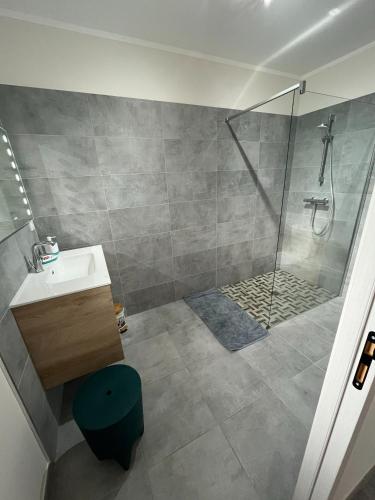 une salle de bain avec douche et lavabo dans l'établissement Villa Saint Florent - Terrace and swimming pool, à Santo-Pietro-di-Tenda