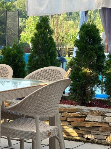 a table and chairs with trees in a yard at Brvnare Rodjak sa sela in Mionica