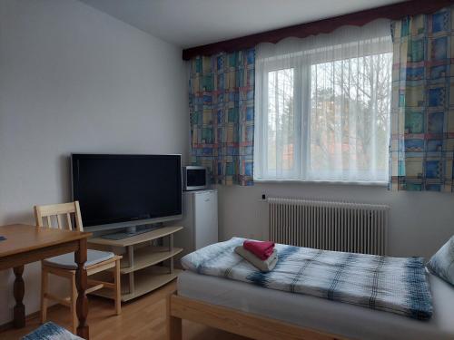 a living room with a flat screen tv and a table at Pension Welserhof in Wilfersdorf