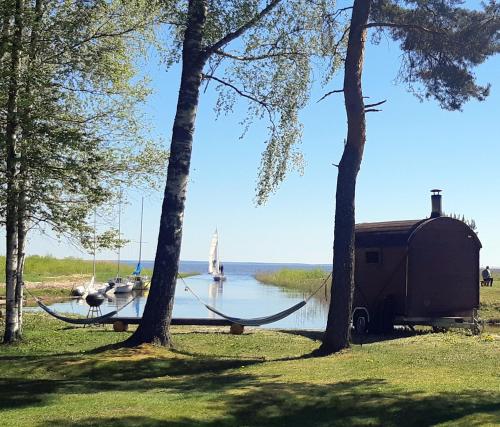 a hammock hanging between two trees next to a body of water at Veldemani puhkemaja in Vaibla