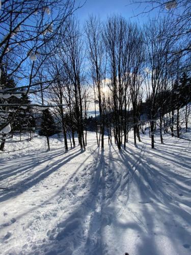 a snow covered road with trees in the distance at le clos grillet in La Chambre
