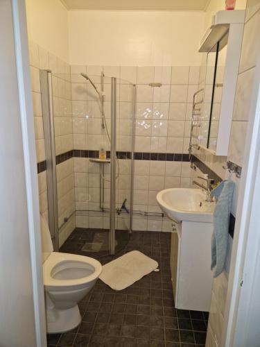 斯德哥爾摩的住宿－Mysigt lägenhet，一间带卫生间和水槽的浴室