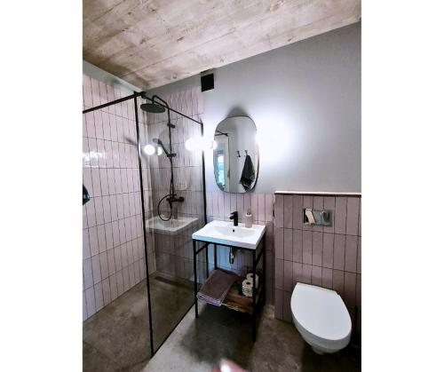 a bathroom with a toilet and a sink and a mirror at Małe Letnisko Osłonino in Osłonino