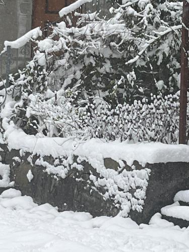 Villa Kokosowa durante el invierno