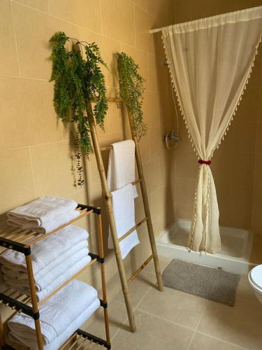Baño con escalera de toallas junto a una bañera en Appartement Marquez, en Palomares
