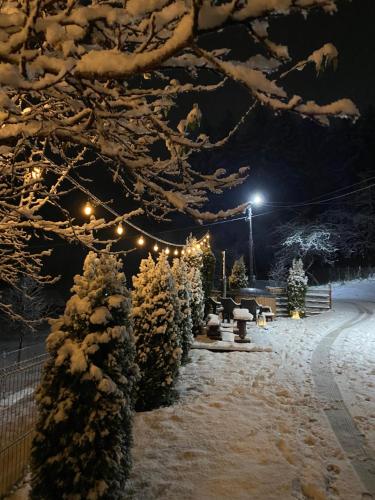 a snow covered yard with christmas trees and lights at Cabana Bogdi in Borşa