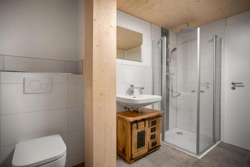 a bathroom with a sink and a shower and a toilet at Tannenhof Fischbach - Fewo 6 "Karpfen" - Schluchsee, 2 Schlafzimmer, E-Auto Ladestation in Schluchsee