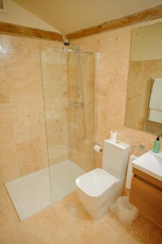 a bathroom with a shower and a toilet and a sink at The Chalet in Oxford