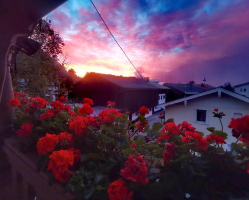 a sunset over a garden with red flowers at Postgasthof Fischerwirt in Walchsee