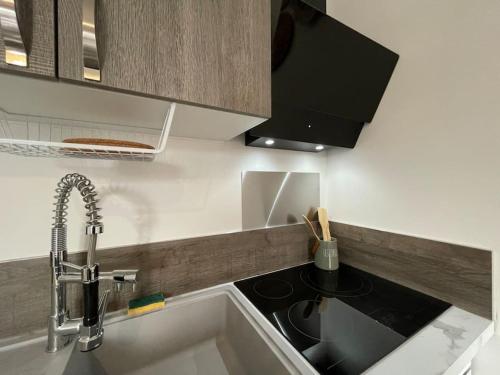 a kitchen with a sink and a counter top at Le Cocon familial de la gare in Sens