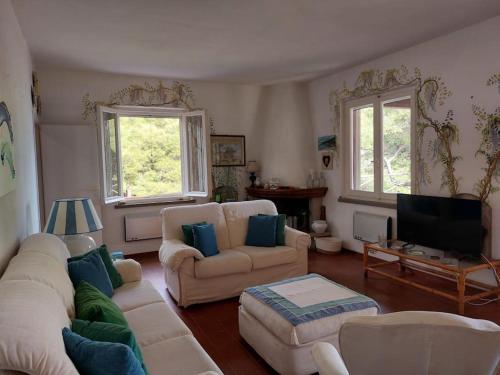 a living room with two couches and a tv at Fetovaia Magic Holiday Villa in Fetovaia