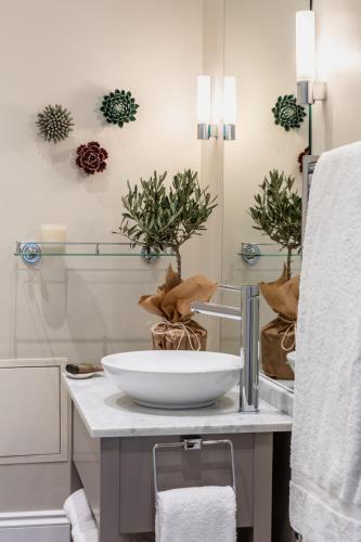 a bathroom with a bowl sink and plants on a counter at The Charm Brighton Boutique Hotel & Spa in Brighton & Hove