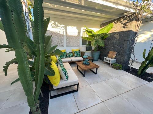 eine Terrasse mit Sofas, einem Tisch und Pflanzen in der Unterkunft Un sueño in Playa Blanca