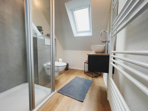ein Bad mit einer Dusche, einem Waschbecken und einem WC in der Unterkunft Roof Lounge in Südbrookmerland