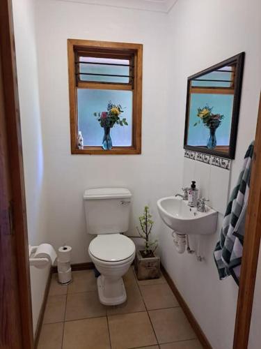 a bathroom with a toilet and a sink and a mirror at Helderberg Cottage in Somerset West