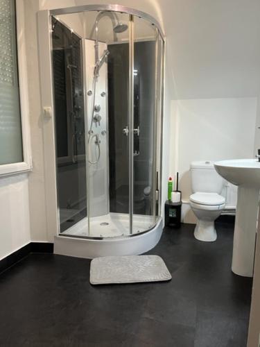 ein Bad mit einer Dusche, einem Waschbecken und einem WC in der Unterkunft Gite for You Orchidée in Neuvy-sur-Loire