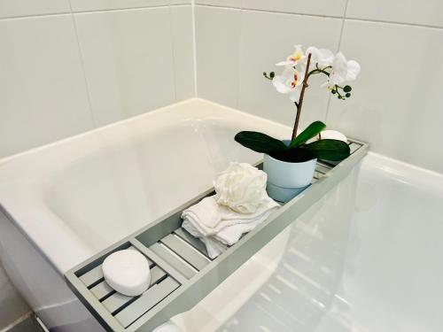 a bathtub with a plant and a flower in it at Modern Canary studio- Wifi in London