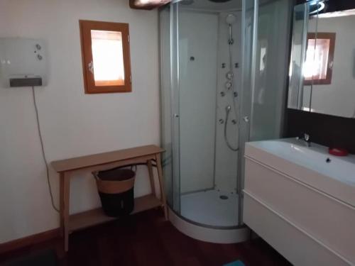 une salle de bain avec douche et lavabo dans l'établissement Appartement chalet hameau de Souliers - Queyras, à Château-Ville-Vieille