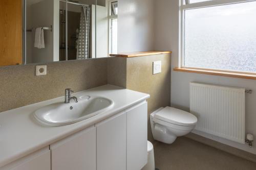 a bathroom with a sink and a toilet at South Central Country-Apartment in Brautarholt