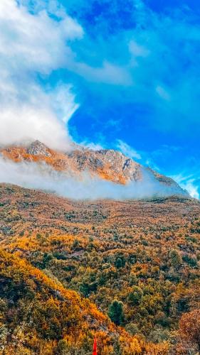 Un paisaje natural cerca del departamento