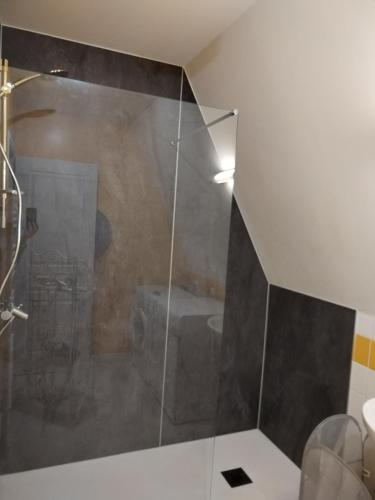une douche avec une porte vitrée dans une salle de bain dans l'établissement Les Gîtes du Clos, à La Tour-dʼAuvergne