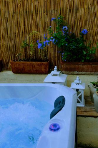 d'une baignoire remplie d'eau et de toilettes. dans l'établissement Le gîte et le cottage de Sainte Valière Piscine et SPAS, à Sainte-Vallière