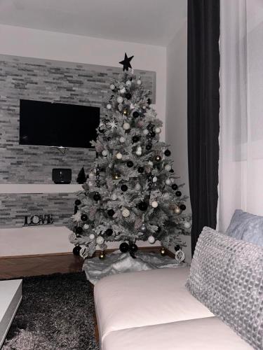 Μια τηλεόραση ή/και κέντρο ψυχαγωγίας στο Apartman Žanić Ogulin with pool and jacuzzy